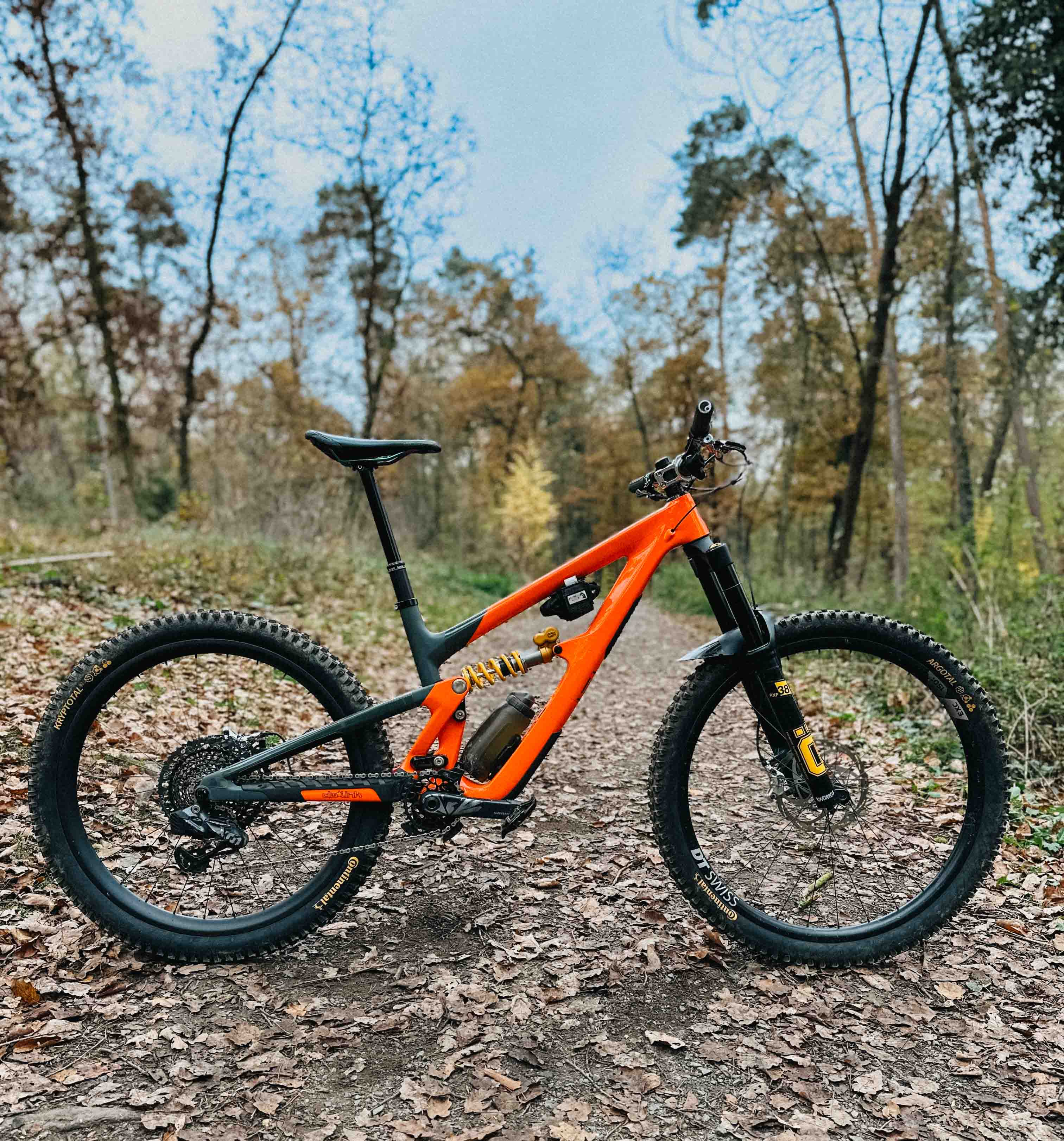 IBIS HD6